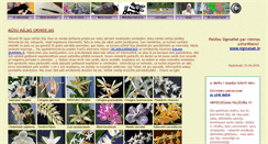 Desktop Screenshot of estere-orhidejas.id.lv