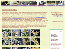 Tablet Screenshot of estere-orhidejas.id.lv